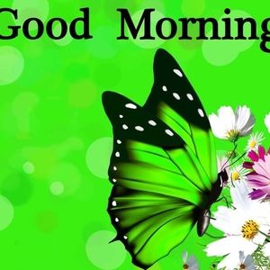 Meet your Posher, Camille